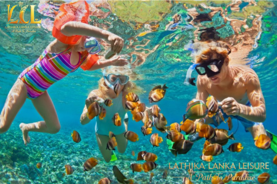 SNORKELING & DIVING IN HIKKADUWA AND PIGEON ISLAND