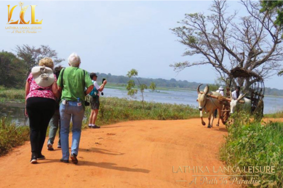 VILLAGE EXPERIENCE TOURS