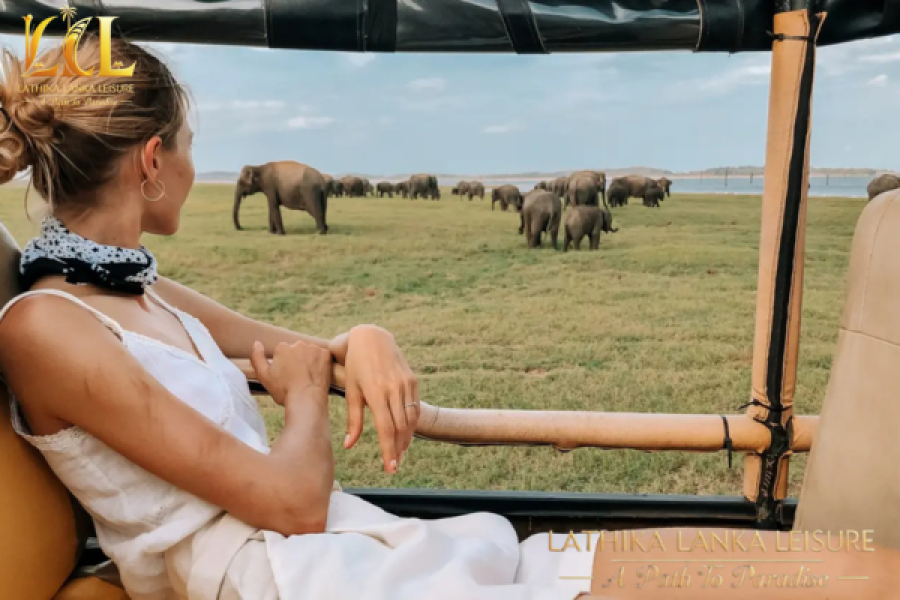 SAFARI IN YALA / UDAWALWE / MINNERIYA