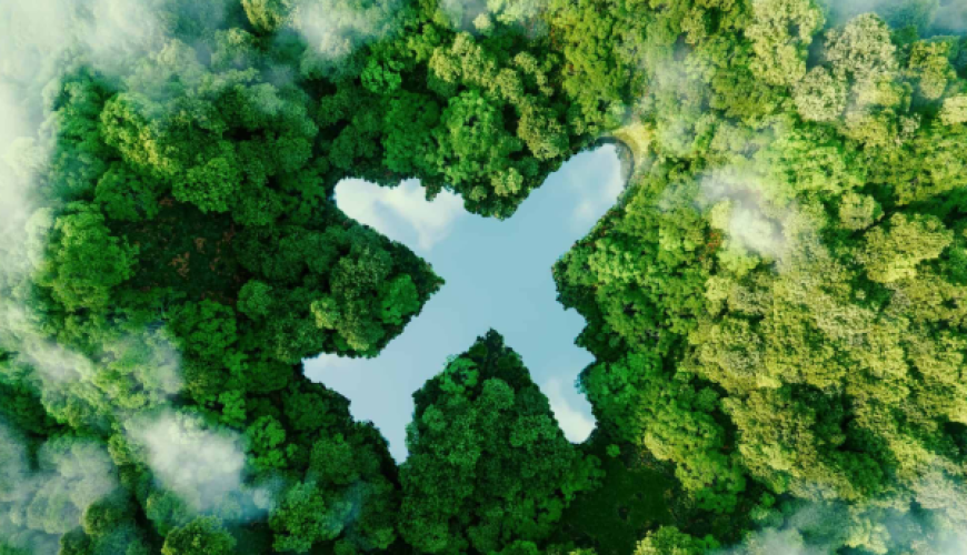 Sustainable Tourism in Sri Lanka – Preserving Nature While Exploring Paradise
