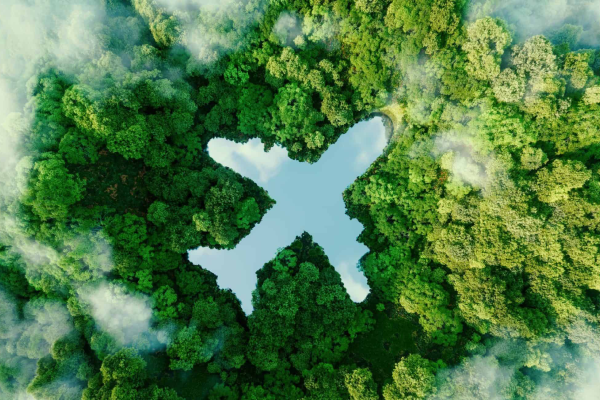 Sustainable Tourism in Sri Lanka – Preserving Nature While Exploring Paradise